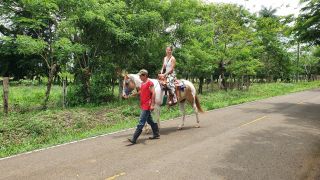 horse-saddle