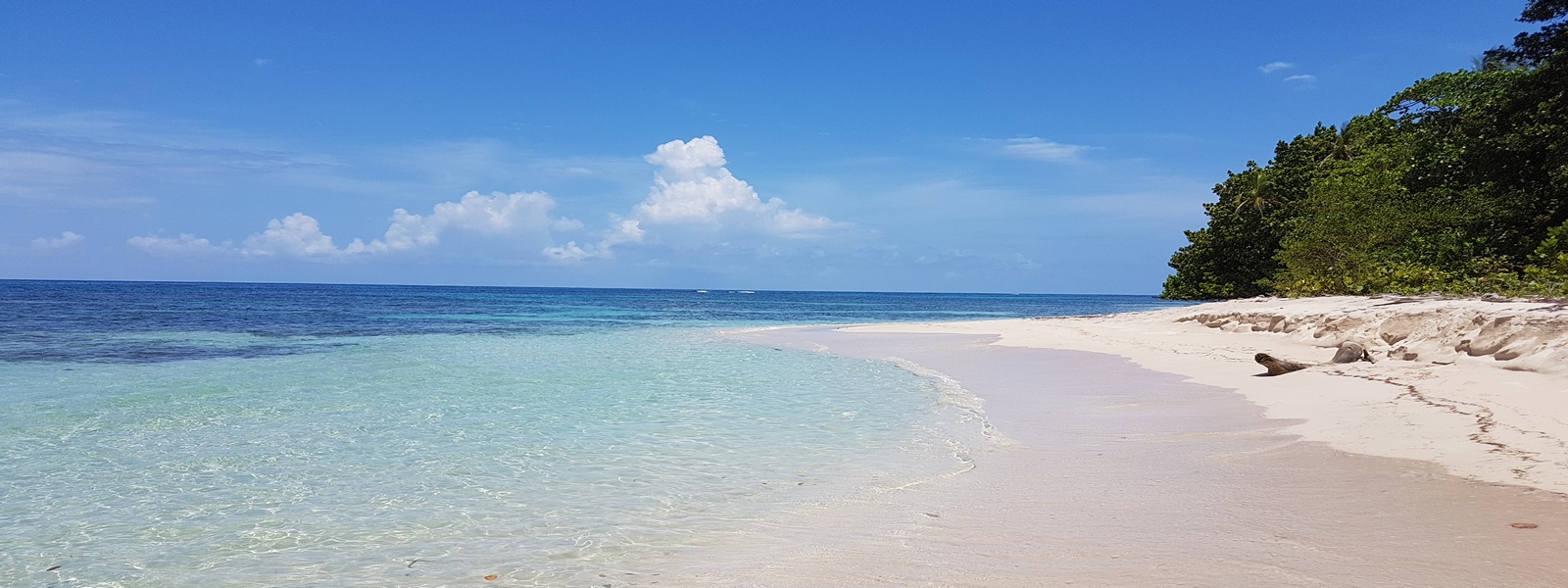 bocas del toro