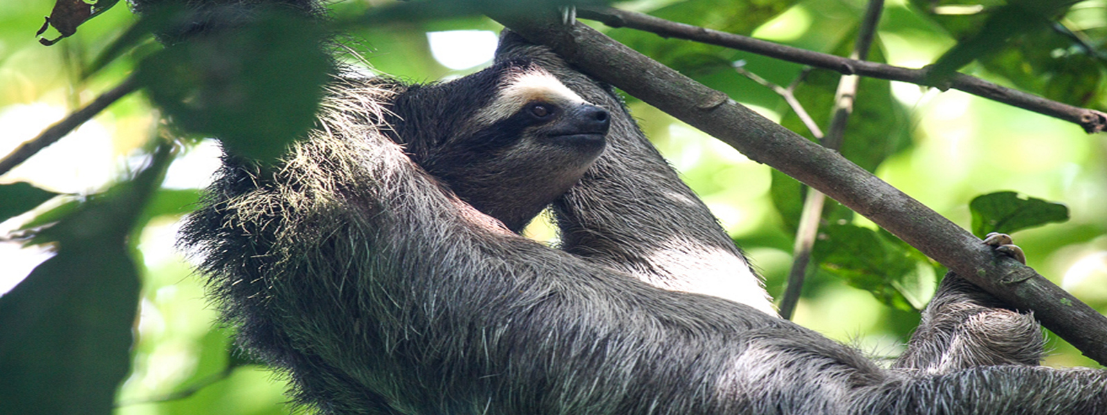 paquetes en costa rica