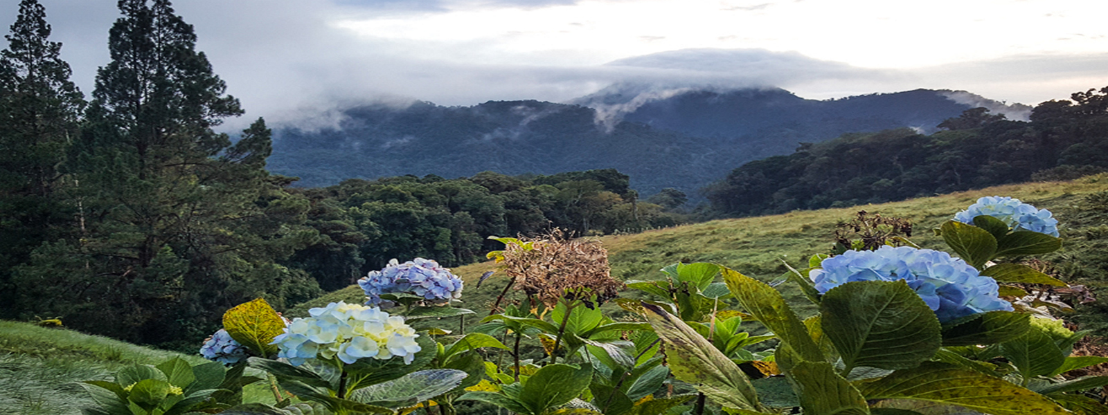 tours en boquete
