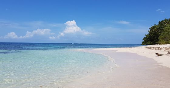 Bocas del Toro