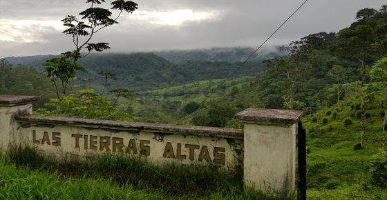 Volcan & Cerro Punta