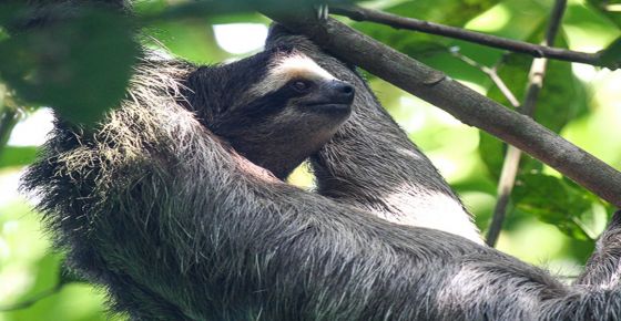 Paquetes en Costa Rica