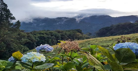 Tours en Boquete