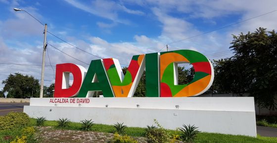 Tours en David