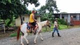 horse-saddle 1