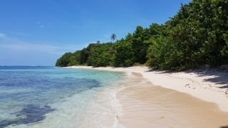 BOCAS DEL TORO A CIUDAD DE PANAMÁ