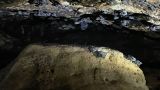 bat-cave-expedition 4