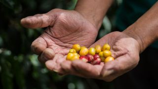 PANAMA REvealed TRADE MISSION 2026