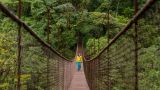 explore-the-coffee 9