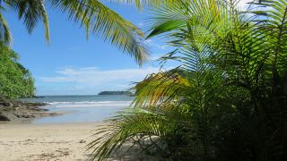 BOCA CHICA  A BOCAS DEL TORO O VICEVERSA