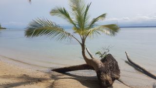 BOQUETE A BOCAS DEL TORO O VICEVERSA