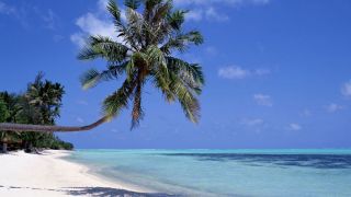 PANAMA BEAUTIFUL